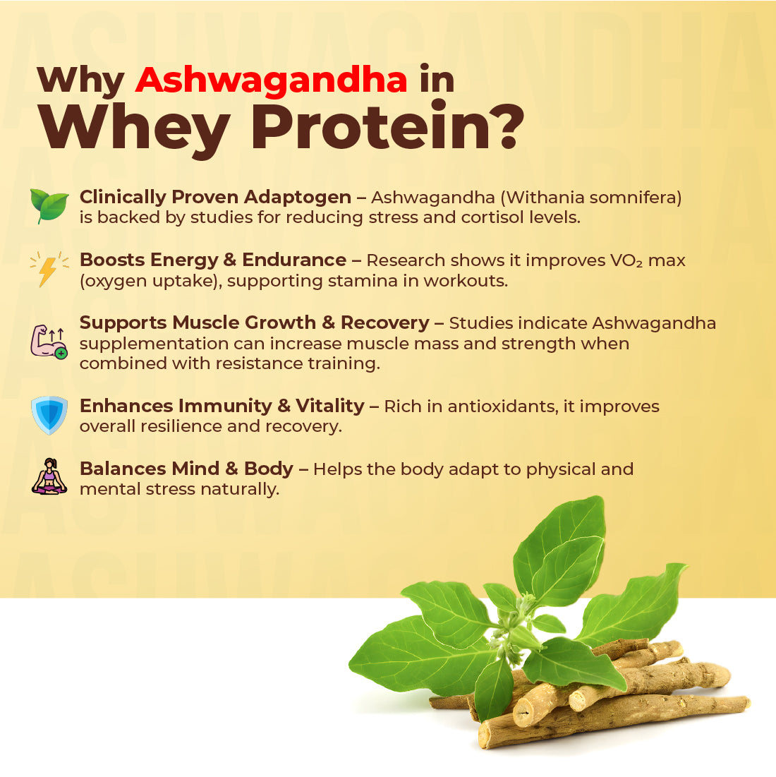 WHEY PROTEIN
