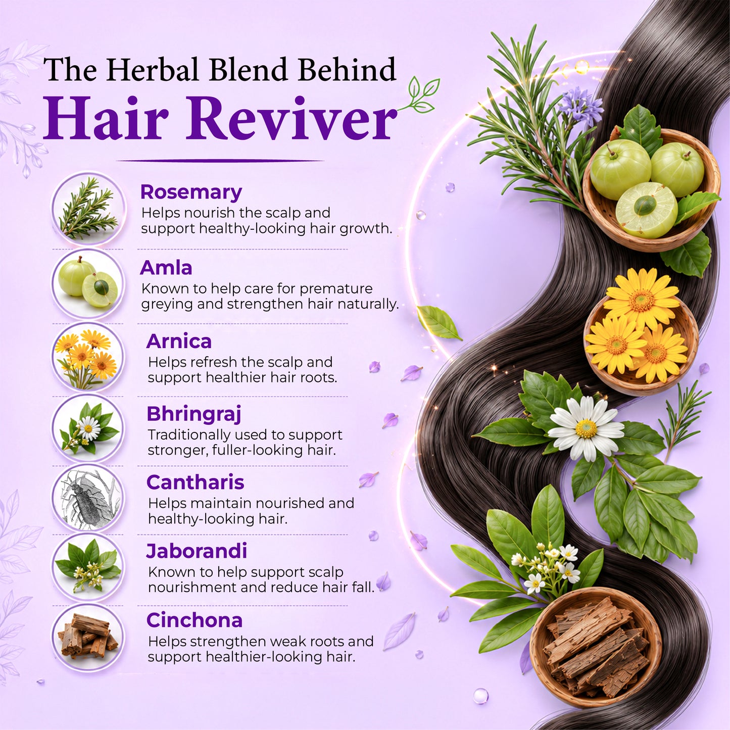 HAIR REVIVER (NEW & IMPROVED) - 100 ML